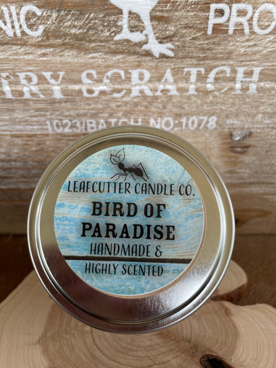 LCC small tin can candles *